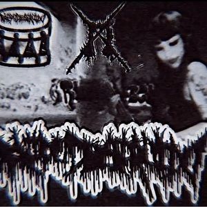 Meet your Posher, Evie